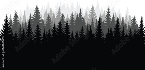 Silhouetted evergreen forest canopy creating a vast natural landscape and scenic background in grayscale