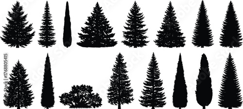 Collection of detailed black silhouette coniferous trees, featuring diverse evergreen species ideal for winter landscape designs, forest graphics, and nature-inspired creative projects