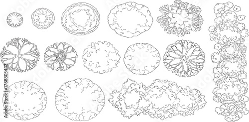 Elevated View of Tree Crowns Assorted Black and White Outlines for Urban Design