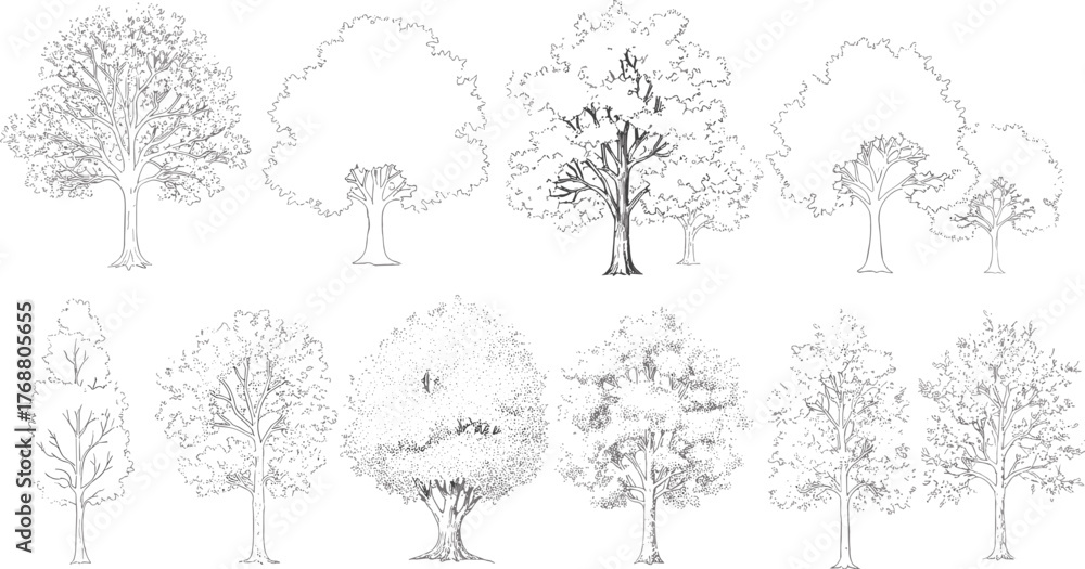 Fototapeta premium Collection of Various Tree Illustrations, Depicting Different Species and Leaf Structures