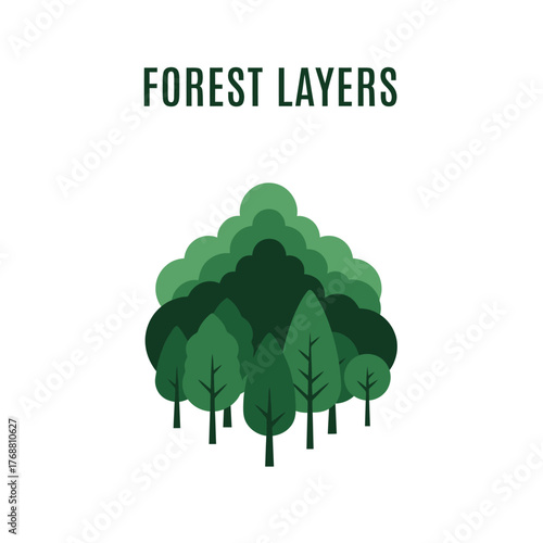 Forest layers graphic design. Depicts layers of trees in different shades of green, with text above