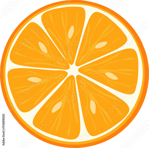 Food Illustration Vector featuring Orange Slice with Pulp and Seeds in Modern Style