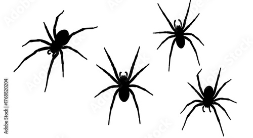 Creepy black spider silhouettes scattered across a clean white background, perfect for Halloween or scary themes.