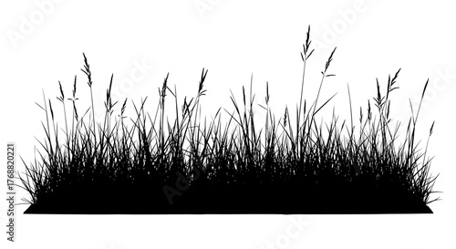 Stunning black silhouette of wild grass swaying gently against a clean white background, perfect for natural designs and organic themes.