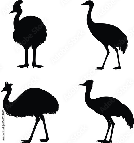 Flightless bird silhouettes, emu ostrich cassowary icons, black wildlife graphics, nature symbol set, minimal design, vector animal illustration