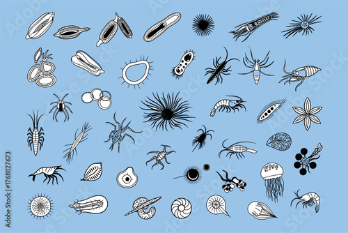 Collection of various microscopic organisms and marine life illustrations on a blue background