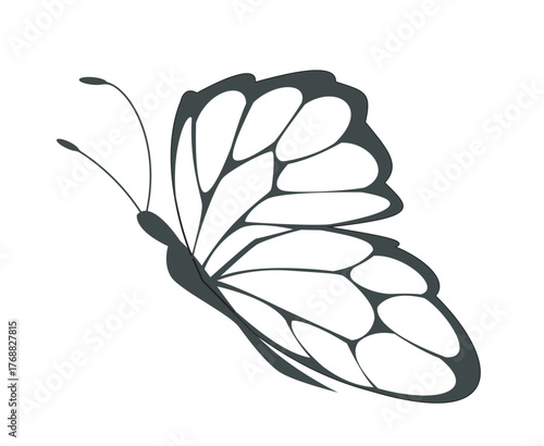 Stylized black and white butterfly with open wings in a minimalist graphic style on a white background. Concept of elegance, nature, and transformation. Vector illustration
