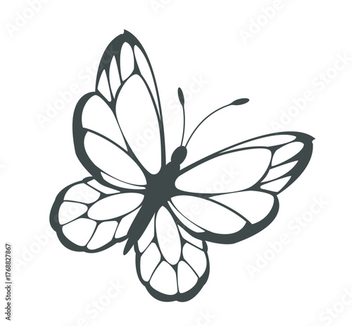 Elegant black and white butterfly silhouette with detailed wings, minimalistic graphic style on white background. Concept of nature and freedom. Vector illustration