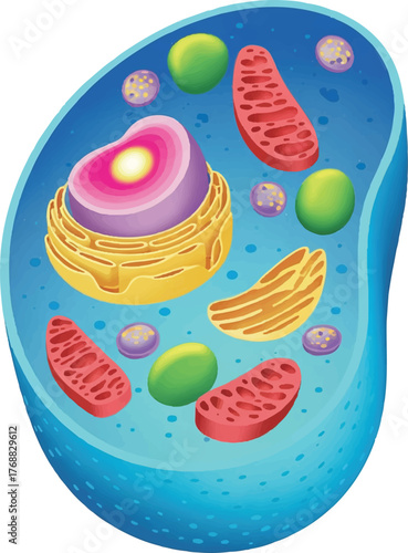 illustration of a cake