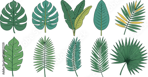 Variety of Green Leaves: A stunning arrangement of assorted green leaves, each showcasing unique shapes and textures, providing a vibrant display of botanical diversity.