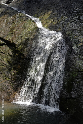 Fairy Falls in Waitakere, Auckland, New Zealand