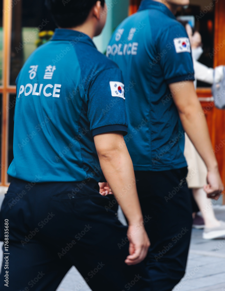 Fototapeta premium Korean Police squad formation in protective uniform with