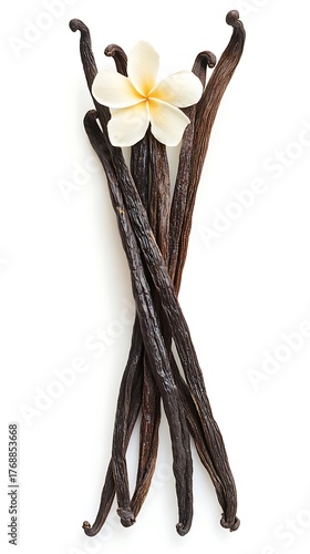 Vanilla Beans Bunch with Frangipani Flower on a White Background, Culinary Delight