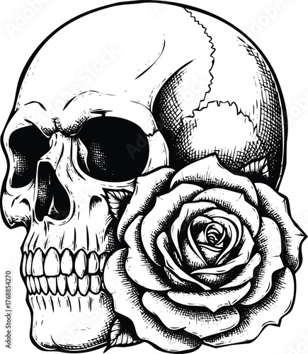 Skull with a rose engraving art design