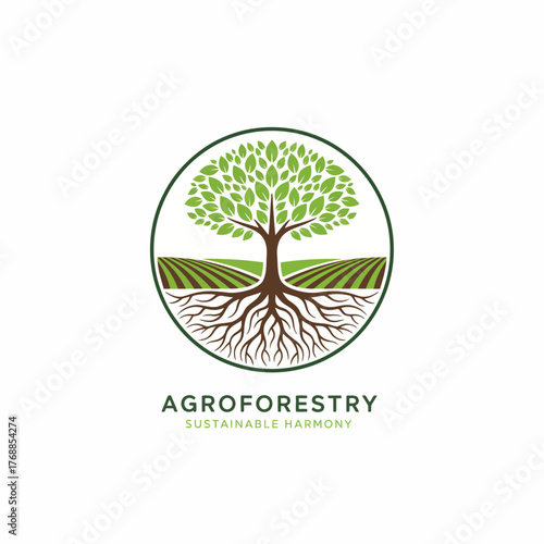 System linking water and plant ecology for balanced growth and sustainable environment.