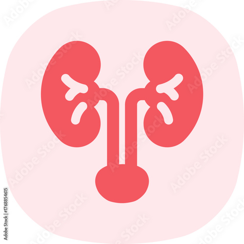 Kidney