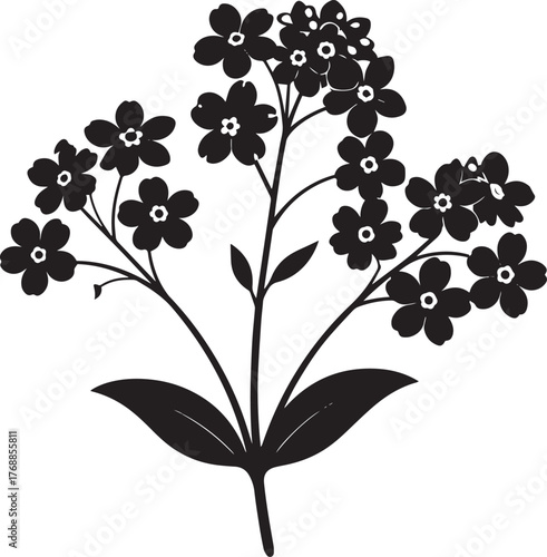  Elegant Forget Me Not Silhouette Vector Illustration