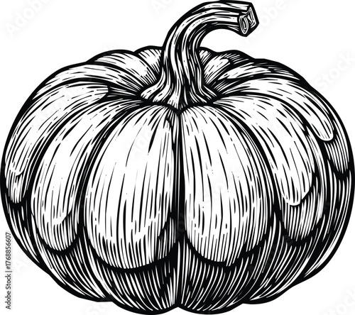 Pumpkin engraving art design