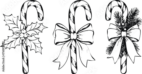 Christmas candy cane decoration with holly and bow isolated on white engraving art design