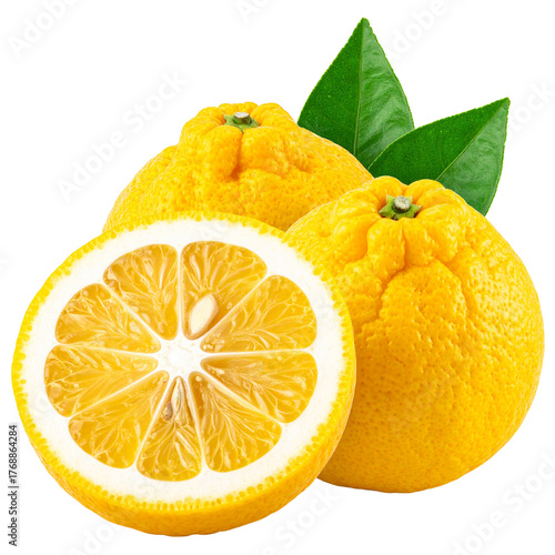 PNG Yuzu: A cluster of fresh yuzu, showcasing their unique bumpy texture and vibrant yellow hues, are accompanied by verdant leaves, offering a sensory experience that tantalizes the senses.