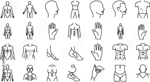 Human body parts and anatomy line icon set. Vector symbols of male and female figures, torso, head, hand, and foot for medical, health, and fitness concepts.
