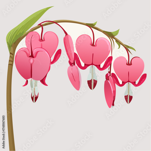 A realistic fresh bleeding heart flowers with leaves
1
