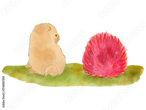 子犬とコキア　かわいい　絵本風　イラスト