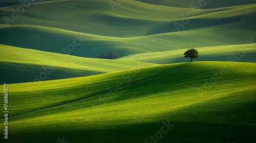 Fototapeta Naklejka Na Ścianę i Meble -  landscape with green grass 