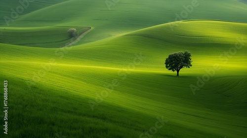 Fototapeta Naklejka Na Ścianę i Meble -  landscape with green grass 