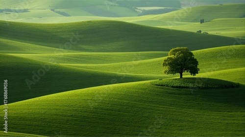 Fototapeta Naklejka Na Ścianę i Meble -  landscape with green grass 