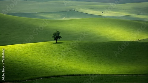 Fototapeta Naklejka Na Ścianę i Meble -  landscape with green grass 