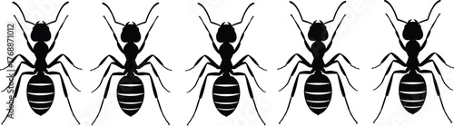 Black ant silhouettes vector illustration, insect pattern background, minimal wildlife design for entomology, pest control, education, and ecological science graphic projects