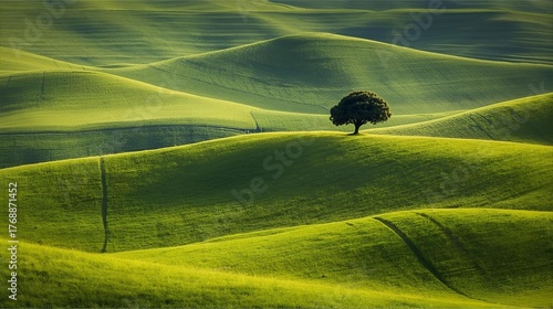 Fototapeta Naklejka Na Ścianę i Meble -  landscape with green grass 