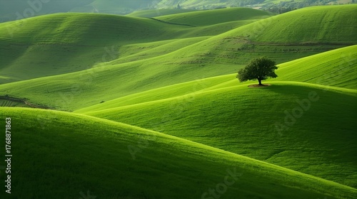 Fototapeta Naklejka Na Ścianę i Meble -  landscape with green grass 