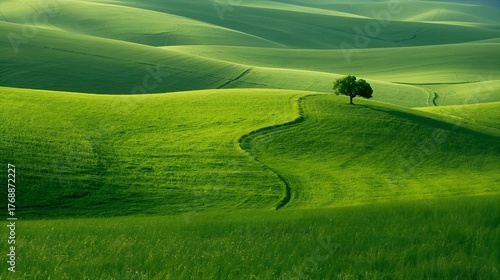 Fototapeta Naklejka Na Ścianę i Meble -  landscape with green grass 