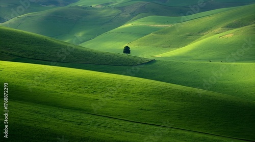 Fototapeta Naklejka Na Ścianę i Meble -  landscape with green grass 
