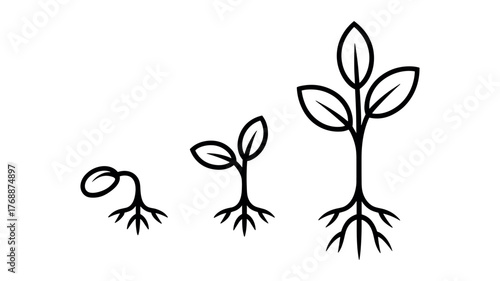 Three black line drawing stages of plant growth from seed to seedling sprout germination