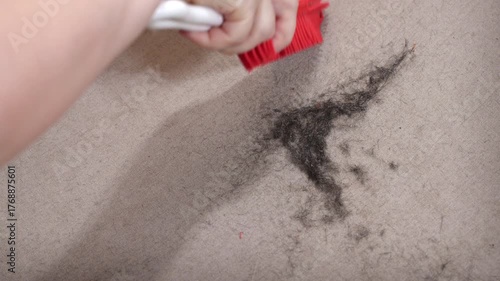 Manual Cleaning of Carpet and Sofa from Pet Hair with a Red Brush: Step-by-Step Dirt Removal