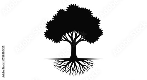 A detailed black silhouette of a mature deciduous tree with exposed roots against a white background silhouette