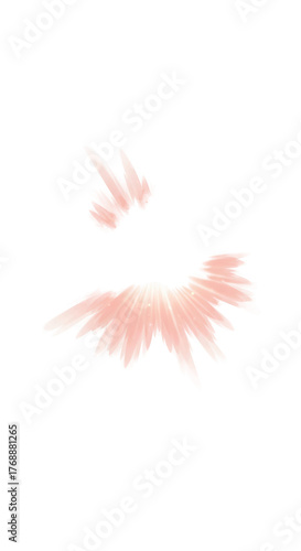 Abstract Light Pink Petal Shapes With Glittering Edges Isolated On Black