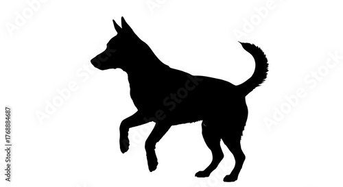 A black silhouette of a dog standing on its hind legs against a plain white backdrop.
