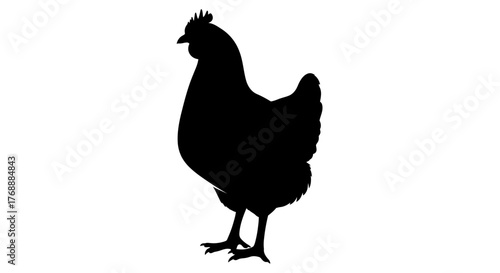 The silhouette of a chicken stands against a white field, its form bold and simple.