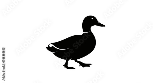 A black silhouette of a duck walks across a white surface, isolated for use in various projects.