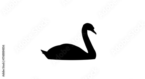 A black silhouette of a swan elegantly glides across a pristine white surface, creating a striking.
