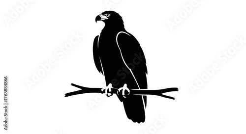 A majestic eagle is perched gracefully on a branch, showcasing its powerful presence and keen gaze.