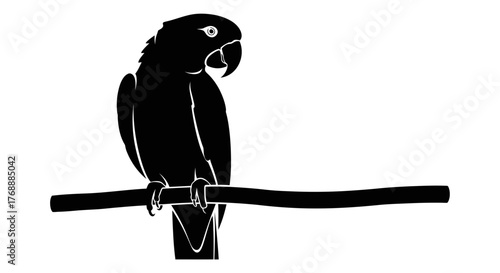 A striking black silhouette of a parrot perched gracefully on a branch against a clean white.