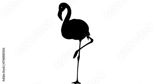 A flamingo stands gracefully on one leg, its silhouette a stark contrast against the white expanse.