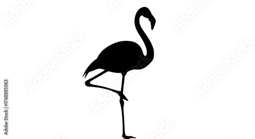 A black silhouette of a flamingo standing on one leg is seen against a white surface.