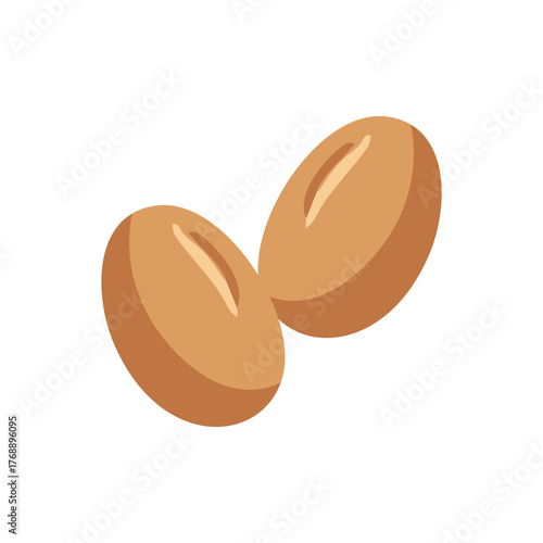 soy beans or kacang kedelai