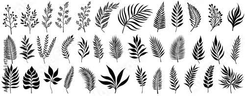 set vector tropical Leaf silhouettes collections. natural palm leaves design exotic botanical floral decoration template vector illustration